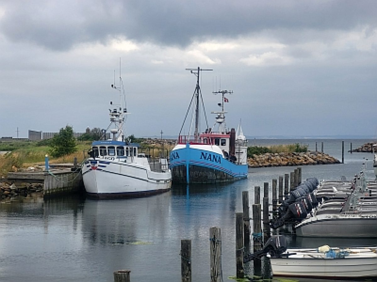 M/S Nana